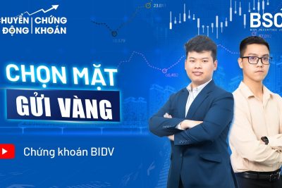 CHUYỂN ĐỘNG CHỨNG KHOÁN #8| CHỌN MẶT GỬI VÀNG