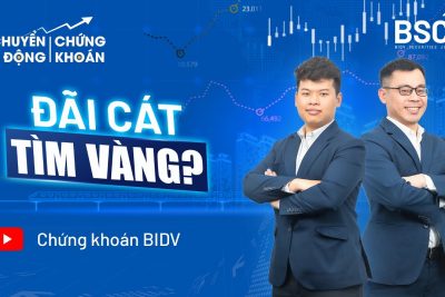 CHUYỂN ĐỘNG CHỨNG KHOÁN #3| ĐÃI CÁT TÌM VÀNG?