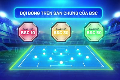 Strategies for building an effective stock portfolio from BSC